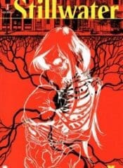 Stillwater (Image)