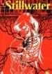 Stillwater (Image)