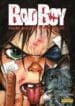 Bad Boy (2010) (Devir)