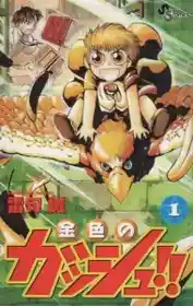 Konjiki No Gash Bell (Manga)